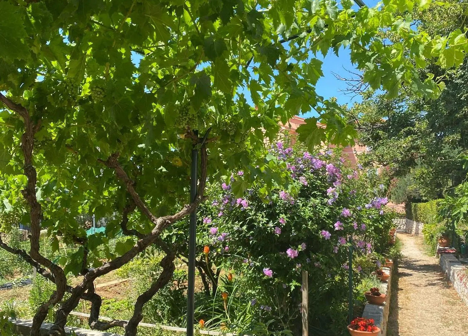 Apartman Morska Prica Rab Town Apartment
